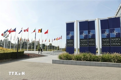 NATO điều tra nghi án tham nhũng trong hợp đồng mua sắm quân sự