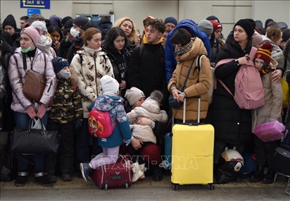 Khoảng 3,7 triệu người tị nạn Ukraine tạm thời ở EU
