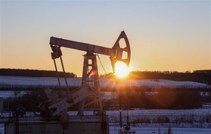 Nga bắt đầu cắt giảm sản lượng 500 nghìn thùng dầu/ngày