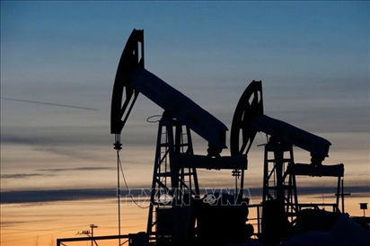 Giá dầu Urals của trong tháng 11/2022 thấp hơn ngưỡng trần do phương Tây áp đặt