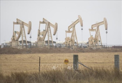 Giá dầu thế giới lại lập đỉnh trong bối cảnh căng thẳng Nga - Ukraine