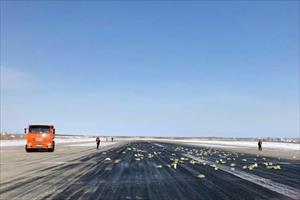 Yakutsk: máy bay tuột nắp khoang hàng hóa, đánh rơi hơn 3 tấn kim loại quý
