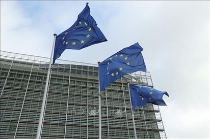 Nông dân Bỉ phong tỏa Brussels trước thềm hội nghị thượng đỉnh bất thường của EU