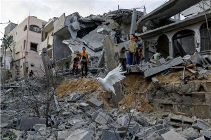 Ông Putin: Xung đột ở Gaza là 'thảm họa'