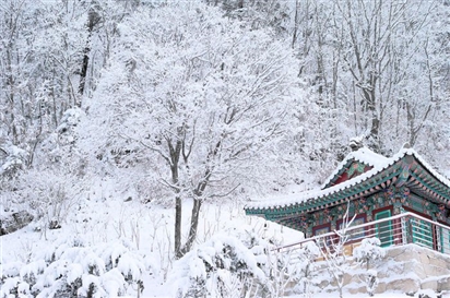 Du học sinh Việt lạc vào 'vương quốc' băng tuyết tại Hàn Quốc
