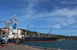 Tập đoàn Trung Quốc muốn đầu tư logistics, mở tuyến container tại cảng Vũng Áng