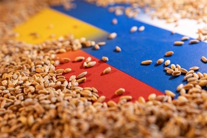 Nga nói chỉ 3% lương thực xuất khẩu của Ukraine đến các nước nghèo, số còn lại ''về tay'' ai?