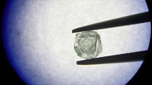 Phát hiện viên kim cương 'búp bê gỗ' 800 triệu năm tuổi độc nhất vô nhị