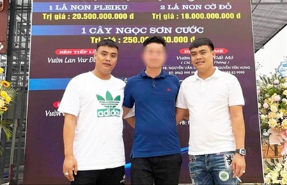 Vụ bắt anh em đại gia lan đột biến ở Quảng Ninh: Phanh phui ''thế giới ngầm'' than lậu