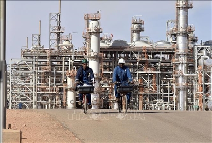 Algeria mong muốn tăng cường quan hệ với Nga trong lĩnh vực năng lượng