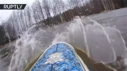 Video: Lướt ván trong khu rừng ngập nước ở Nga
