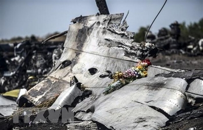 Nga xem xét quan điểm của tòa án Hà Lan liên quan vụ rơi máy bay MH17