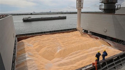 Mỹ nói gì trước đề xuất hộ tống tàu chở ngũ cốc trên Biển Đen?