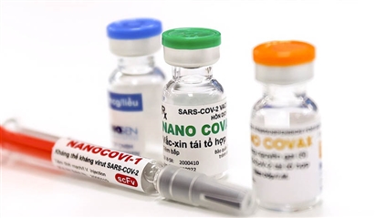 Đề xuất mở rộng số lượng người tham gia thử nghiệm vaccine Nano Covax
