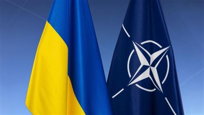 Ukraine từ bỏ nỗ lực theo đuổi NATO