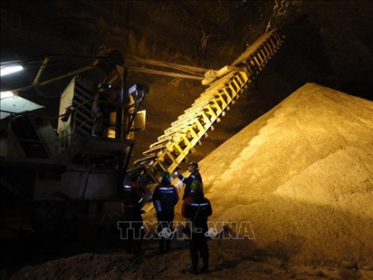 Chuyến tàu đầu tiên chở phân bón Nga đi châu Phi rời cảng châu Âu