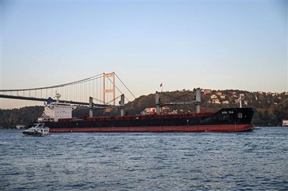 Nga, Thổ Nhĩ Kỳ và Qatar chuẩn bị thỏa thuận vận chuyển ngũ cốc qua Biển Đen