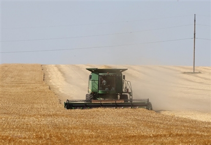 Nga cảnh báo có thể từ bỏ thỏa thuận xuất khẩu ngũ cốc
