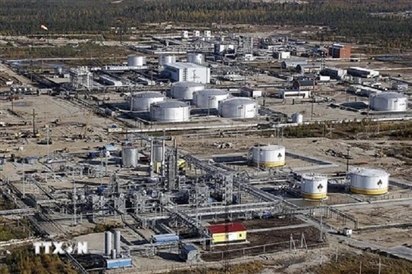 Nga gia hạn biện pháp đáp trả phương Tây áp giá trần dầu mỏ