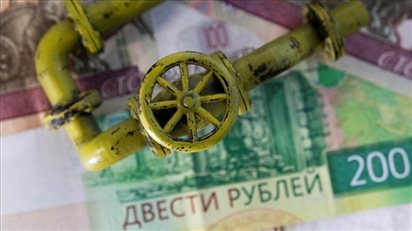 Nga xem xét áp dụng thanh toán bằng đồng rúp đối với các mặt hàng xuất khẩu khác