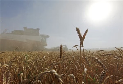 Công ty Bayer tiếp tục cung cấp sản phẩm nông nghiệp đầu vào cho Nga