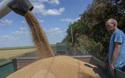 Chiếc bẫy sau khi Nga rút khỏi thỏa thuận ngũ cốc?