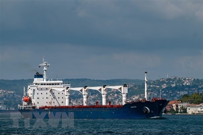 Nga phát hiện dấu vết thuốc nổ trên tàu chở ngũ cốc nước ngoài