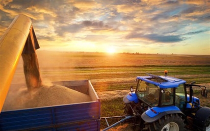 Nga: Xuất khẩu ngũ cốc đạt mức cao lịch sử 60 triệu tấn