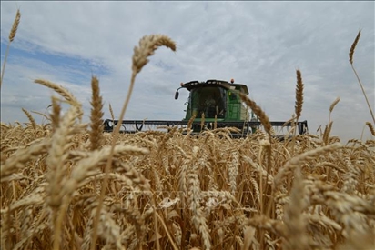 Lý do Nga nghi ngờ phương Tây về thỏa thuận nối lại hoạt động xuất khẩu ngũ cốc