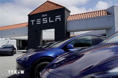 Tesla hứng đòn khi mối quan hệ giữa CEO với Tổng thống Trump rạn nứt
