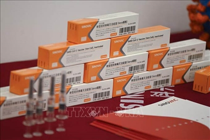 Vaccine của hãng Sinovac hiệu quả với người cao tuổi và giảm nguy cơ bệnh nặng