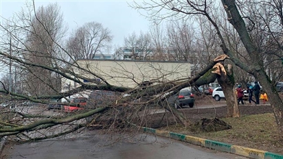 Moskva: Thời tiết xấu cuối tuần, nhiều cây đổ và ô tô bị hư hỏng nặng