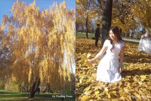Bộ ảnh Mùa thu vàng nước Nga BONUS 18: Khoảnh khắc mùa thu - Lê Thu Hương