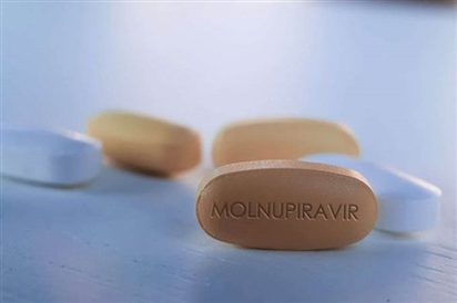 Thuốc kháng virus Molnupiravir có gây yếu sinh lý?