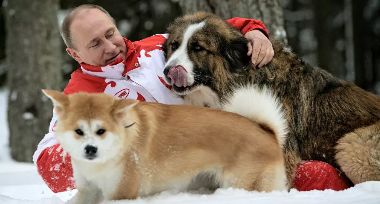 Tổng thống Nga nuôi những loại thú cưng nào?