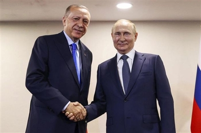 ''Ngoại giao ngũ cốc'' của Tổng thống Thổ Nhĩ Kỳ Erdogan với người đồng cấp Nga Putin tại Sochi