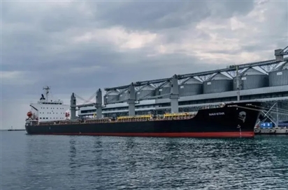 Thêm 3 tàu ngũ cốc rời cảng Ukraine