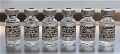 Tiêm mũi tăng cường với vaccine của Pfizer/BioNTech giúp tăng khả năng miễn dịch trước Omicron