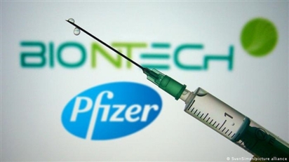 Pfizer: Vaccine dành cho chủng Omicron sẵn sàng vào tháng 3
