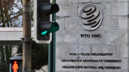 Mỹ không tham gia vào các lời lên án của phương Tây nhằm vào Nga tại WTO