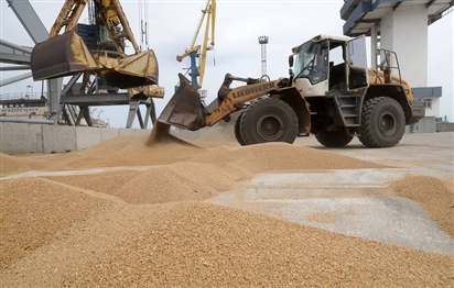 Chuyên gia Thổ Nhĩ Kỳ nói Nga dừng thỏa thuận ngũ cốc là đúng