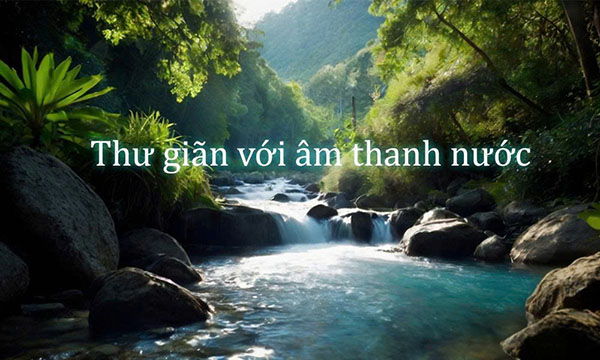 Album nhạc không lời: Âm thanh từ thiên nhiên bình yên, dịu dàng